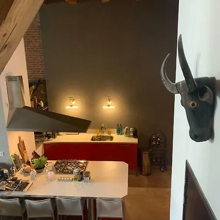 Loft Entrepot Der Nederlanden Appartement Schiedam